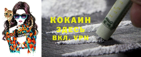 apvp Алзамай
