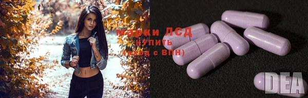 apvp Алзамай