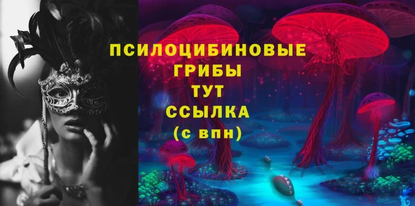 крисы Алексин
