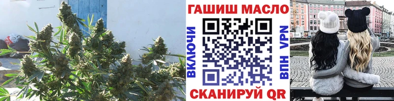закладка  Котельники  ОМГ ОМГ рабочий сайт  ТГК вейп с тгк 