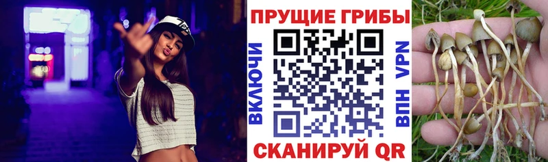 Галлюциногенные грибы ЛСД  Котельники 