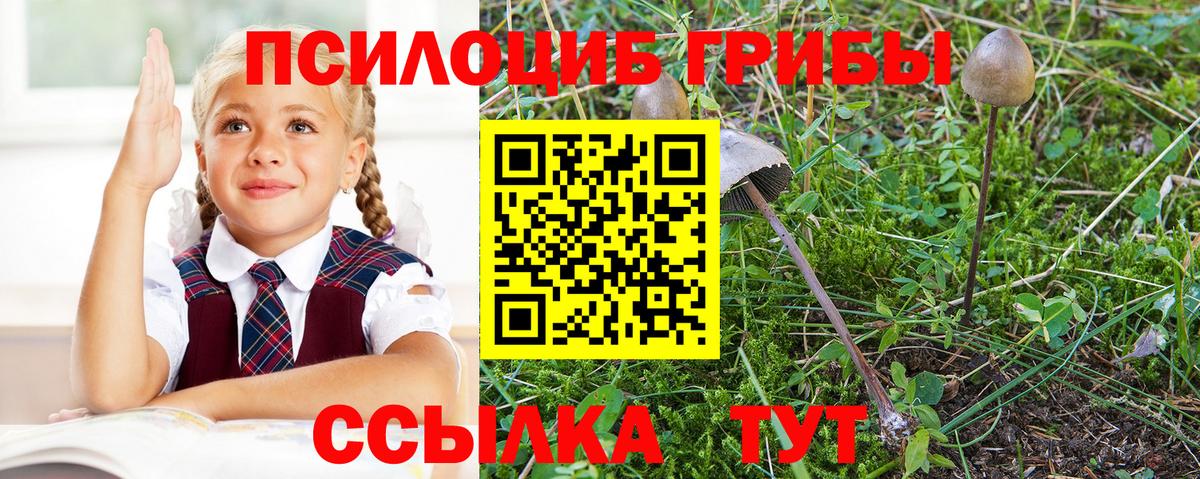 Псилоцибиновые грибы прущие грибы Котельники